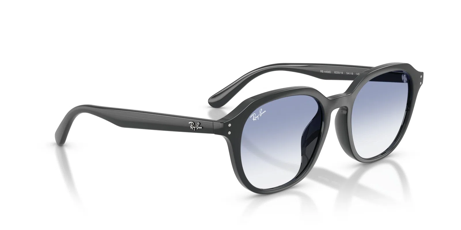 Ray-Ban 4459D Sunglasses - view 15